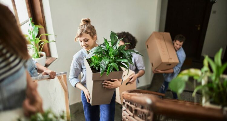 your guide to moving with plants